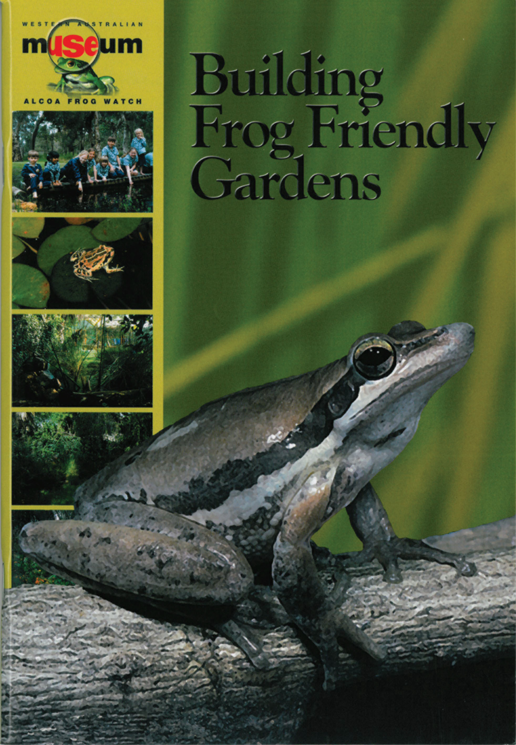 Building Frog Friendly Gardens