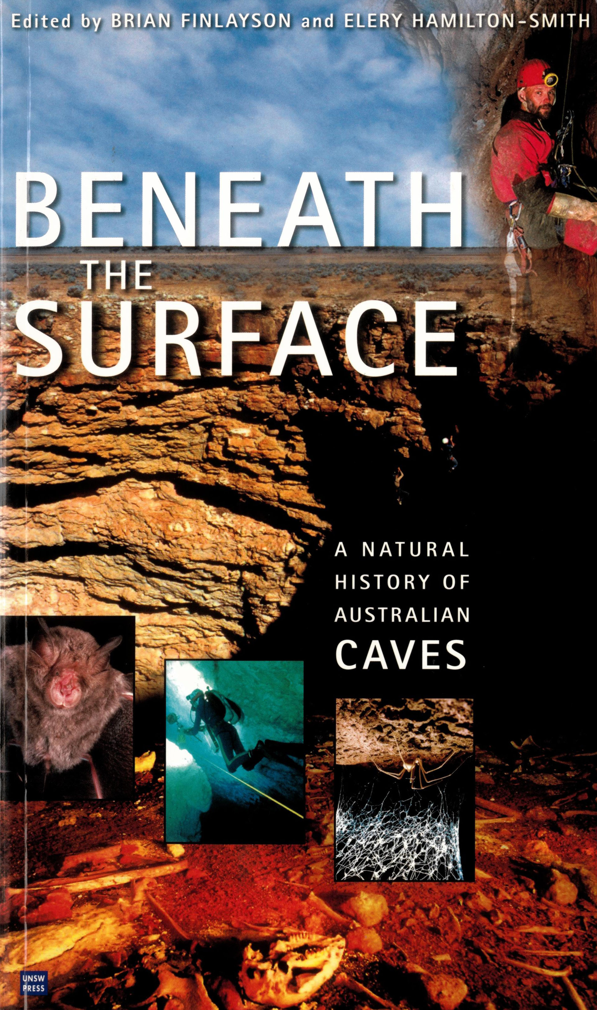 Beneath the Surface