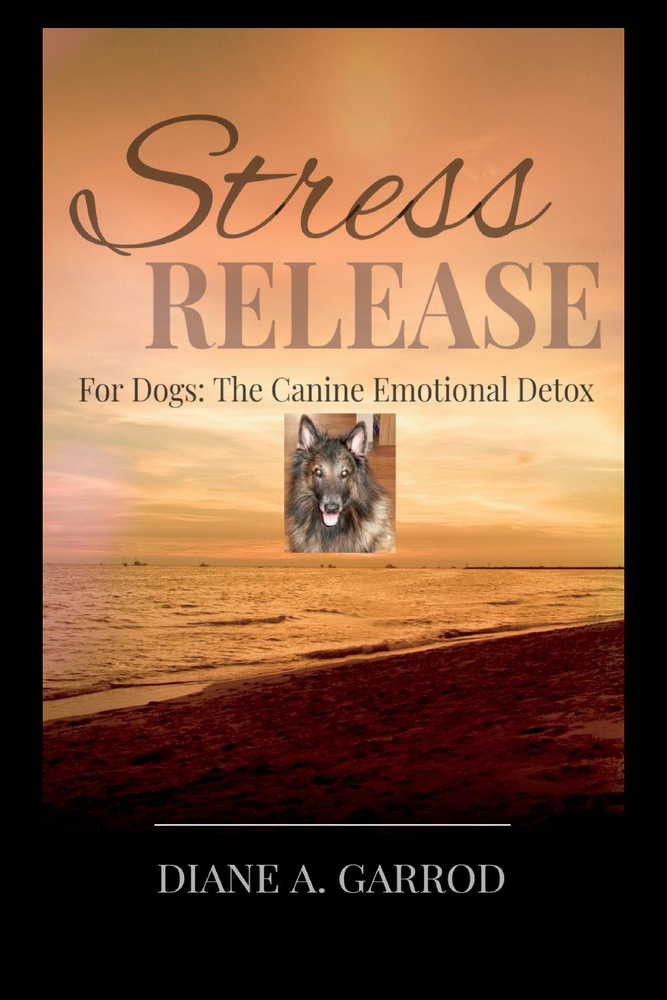Stress Release