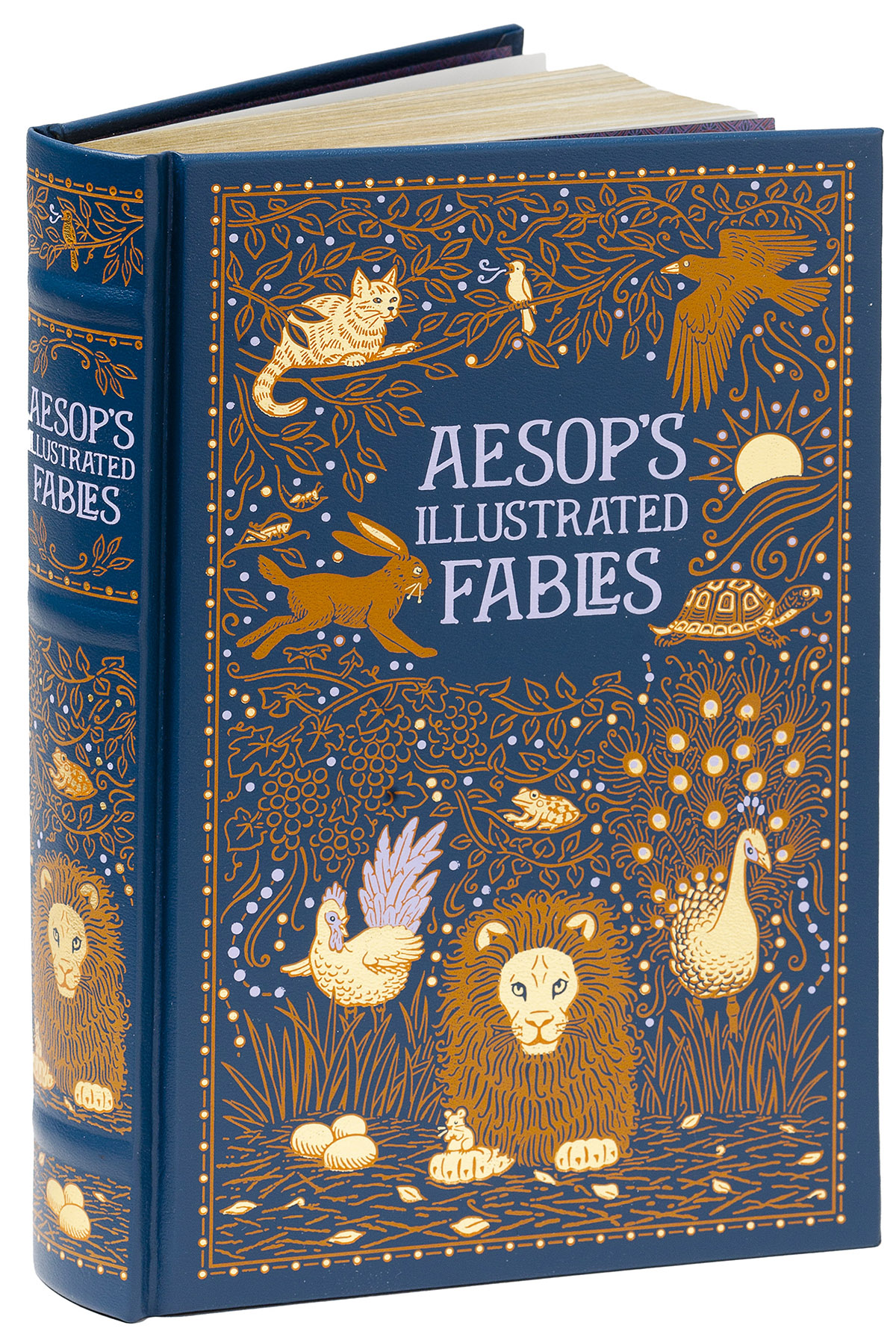 Aesop's Illustrated Fables (Barnes & Noble Collectible Classics: Omnibus Edition