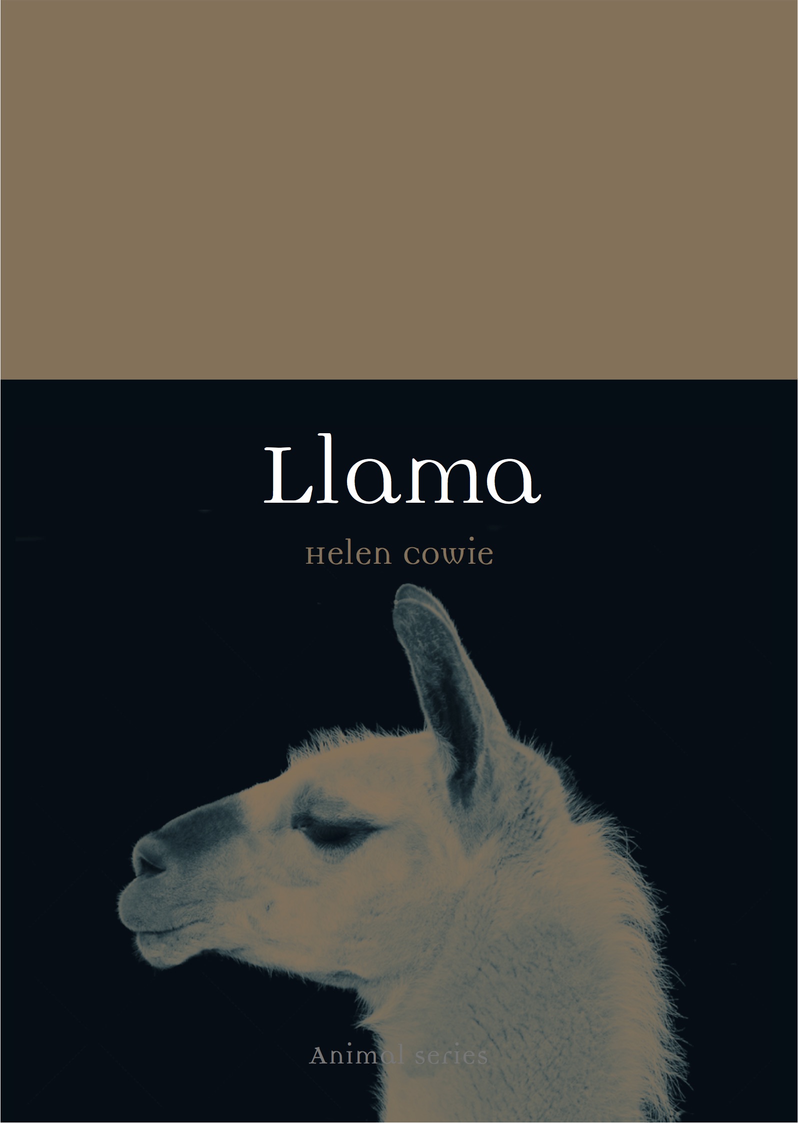 Llama